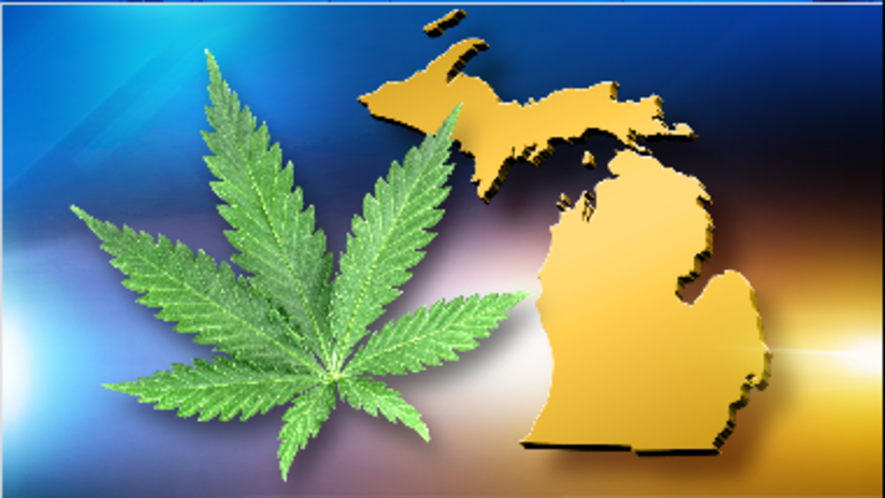 Should marijuana be legal in Michigan? 57 of voters say yes